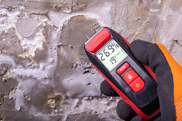 Best Post-Remediation Services in Frazee, MN